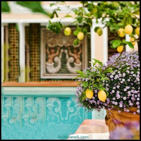  عکس سفره صبحانه قدیمی