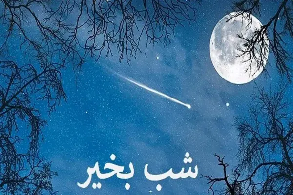  عکس شب بخیر کیوت فانتزی