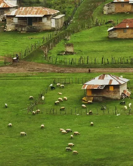  عکس جاده شمال برای تصویر زمینه