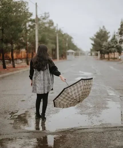  عکس جاده شمال برای تصویر زمینه