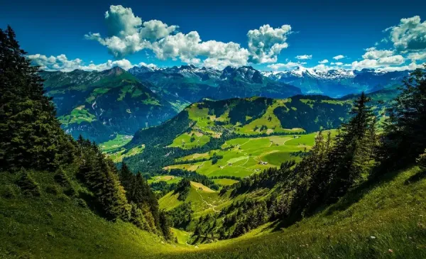  عکس طبیعت سرسبز برای تصویر زمینه کامپیوتر