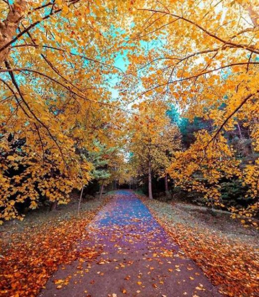  عکس پروفایل جاده برای واتساپ و تلگرام