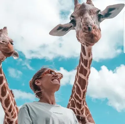 عکس پروفایل زرافه کیوت