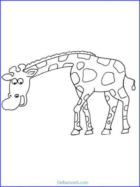  عکس زرافه نقاشی