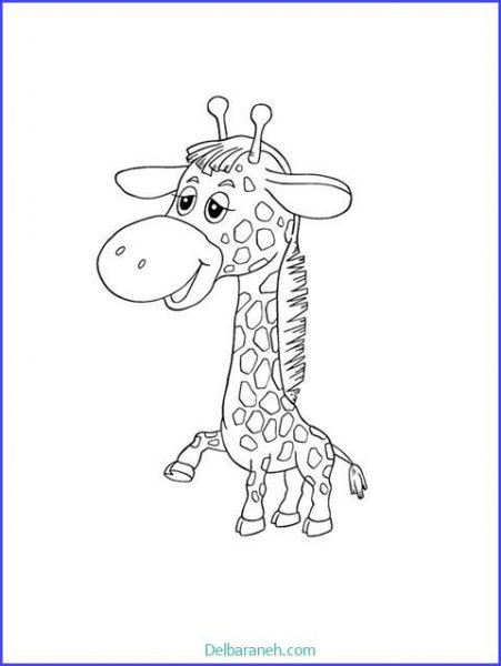  عکس زرافه نقاشی