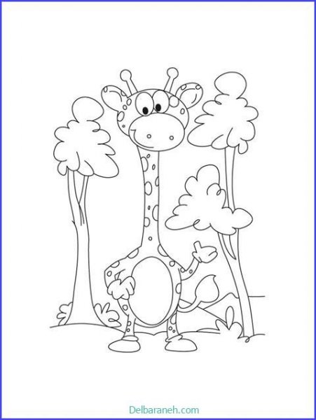  عکس زرافه نقاشی
