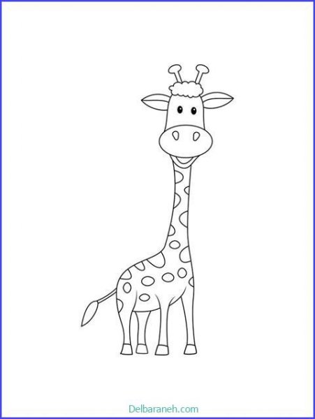  عکس زرافه نقاشی