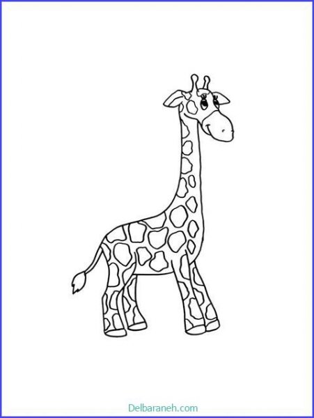  عکس زرافه نقاشی