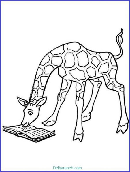 عکس زرافه نقاشی