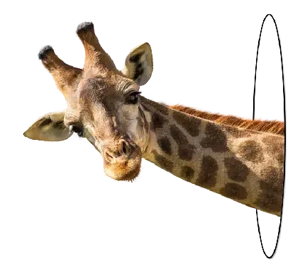  عکس زرافه کارتونی برای پروفایل