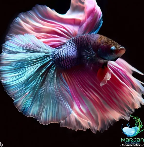  عکس زیباترین ماهی جهان