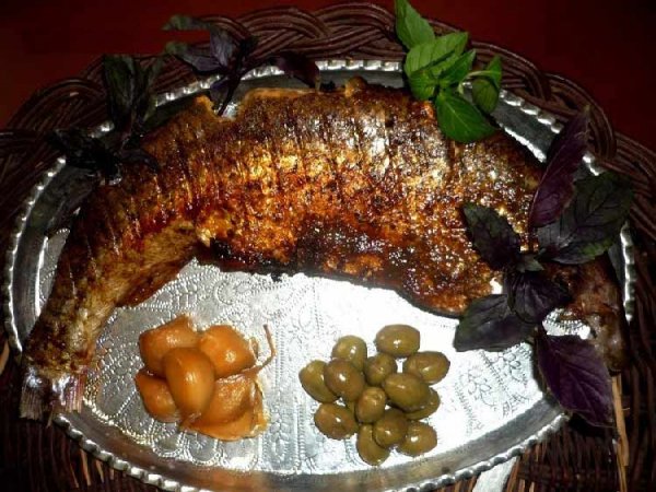  عکس ماهی خوردنی