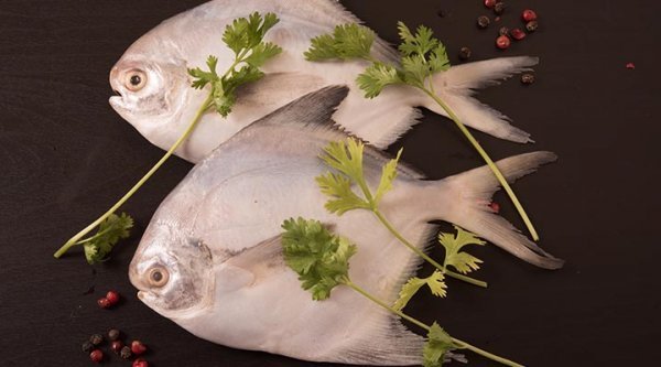  عکس ماهی خوردنی