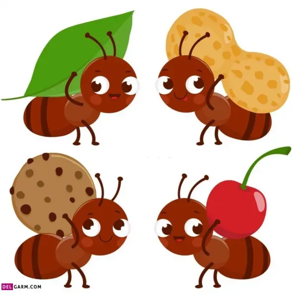 عکس مورچه کارتونی