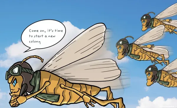  عکس مورچه کارتونی