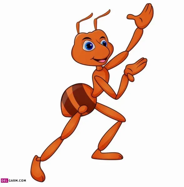  عکس مورچه کارتونی