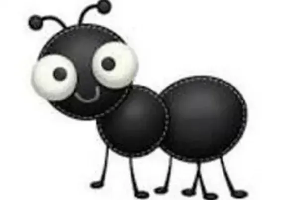  عکس مورچه کارتونی