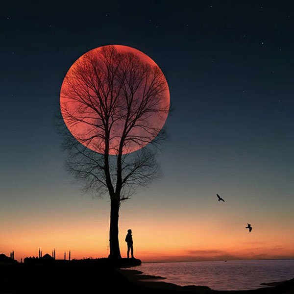  عکس پروفایل جدید امسال خفن