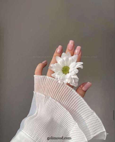  عکس گل برای پروفایل اینستاگرام