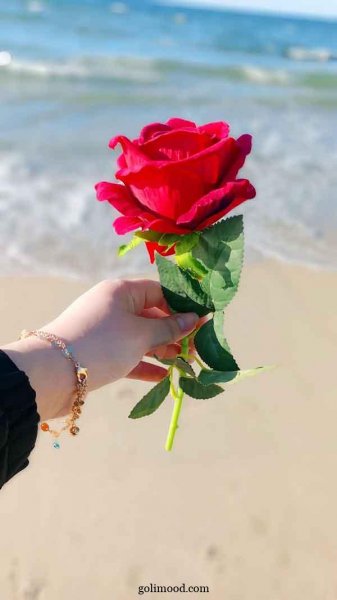  عکس گل برای پروفایل اینستاگرام