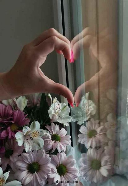  عکس گل برای پروفایل اینستاگرام