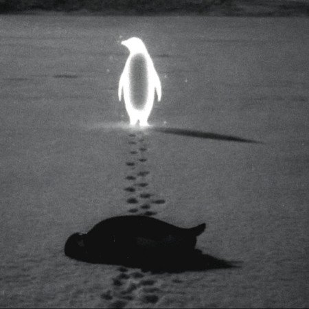 عکس پروفایل جدید اینستاگرام