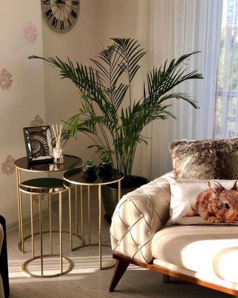  عکس جدیدترین گل آرایی ژورنالی 2026