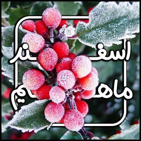  عکس نوشته زیبا و لاکچری برای متولدین اسفندماهی