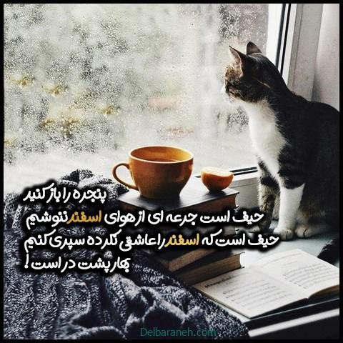  عکس پروفایل اسفند ماهی جدید