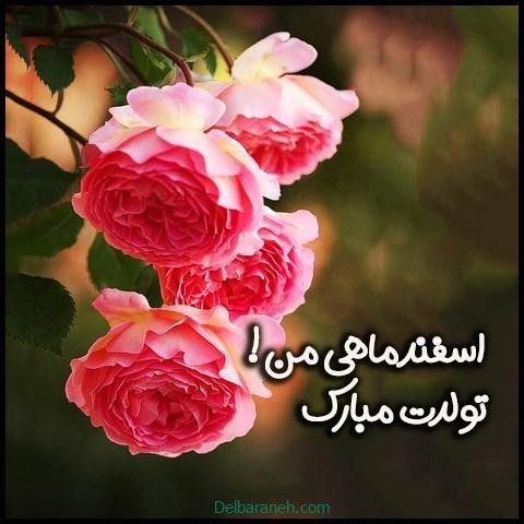  عکس پروفایل اسفند ماهی جدید