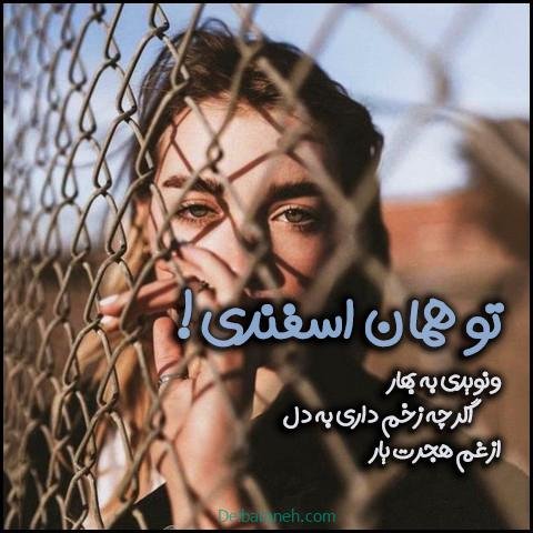  عکس پروفایل اسفند ماهی جدید