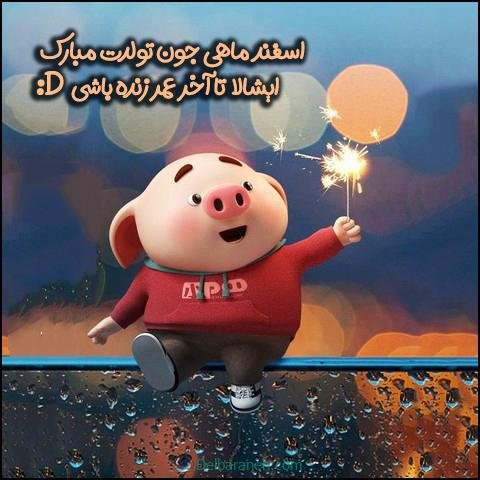  عکس پروفایل اسفند ماهی جدید