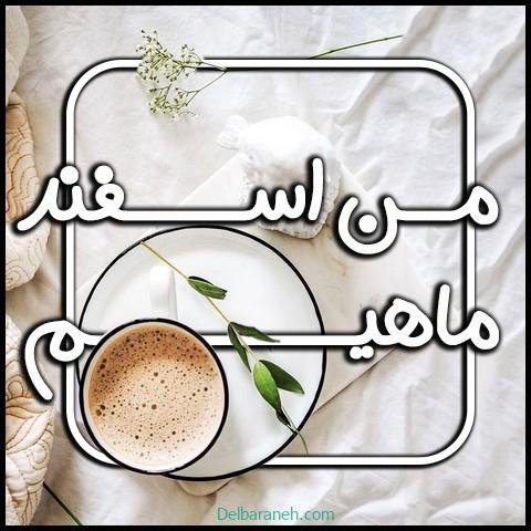  عکس پروفایل اسفند ماهی جدید