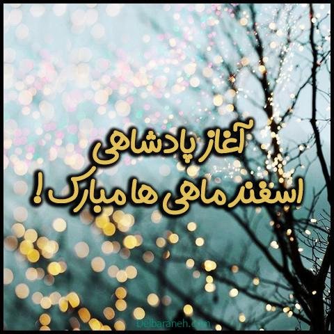  عکس پروفایل اسفند ماهی جدید