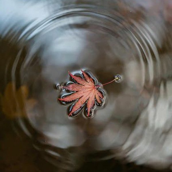  عکس پروفایل جدید خاص برای واتساپ