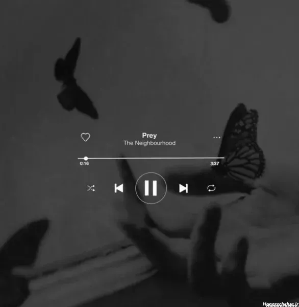  عکس سیاه برای پروفایل