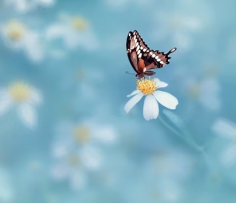  عکس پروفایل واتساپ جدید