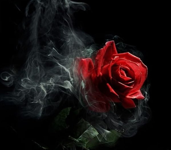  عکس پروفایل واتساپ جدید