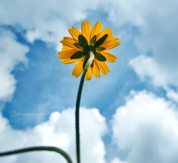  عکس پروفایل واتساپ جدید