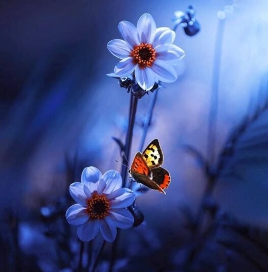  عکس پروفایل واتساپ جدید