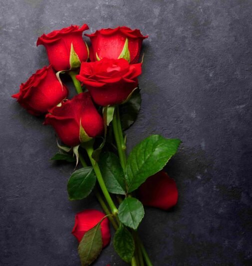  عکس پروفایل واتساپ جدید