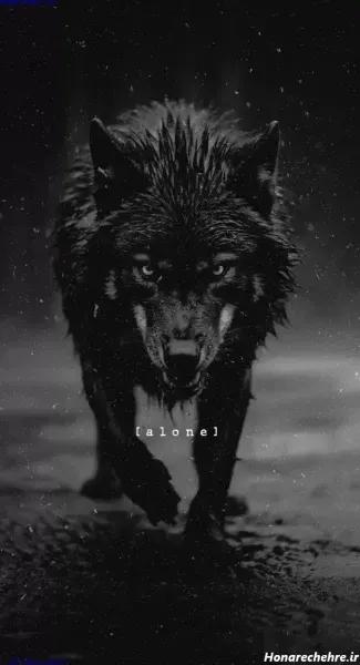 عکس های گنگ لاتی