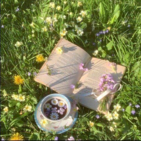  عکس پروفایل کتاب خواندن