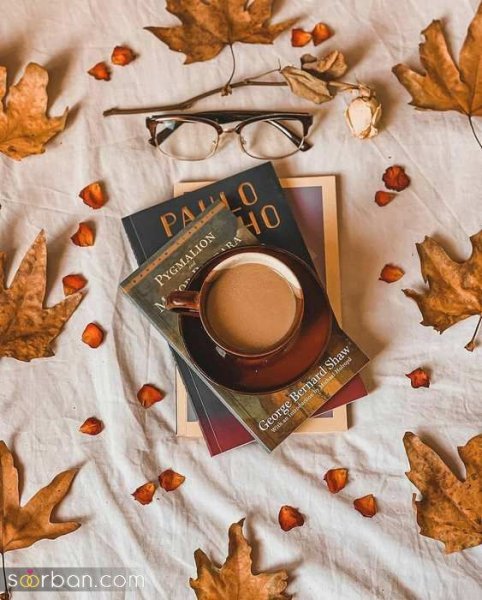  عکس کتاب برای پروفایل واتساپ