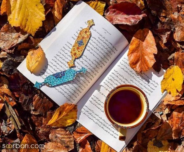  عکس کتاب برای پروفایل واتساپ