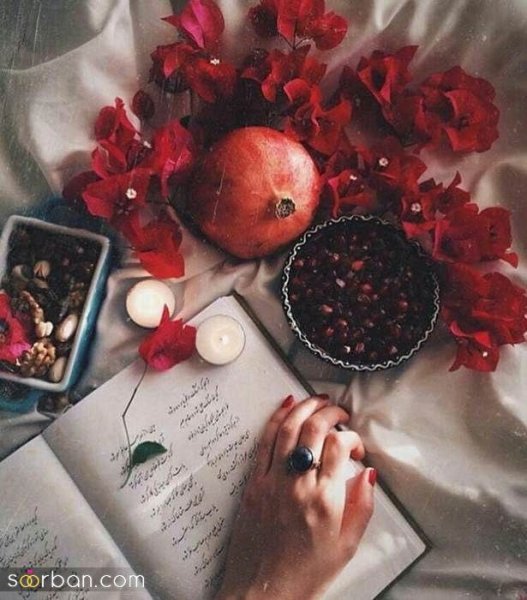  عکس کتاب برای پروفایل واتساپ