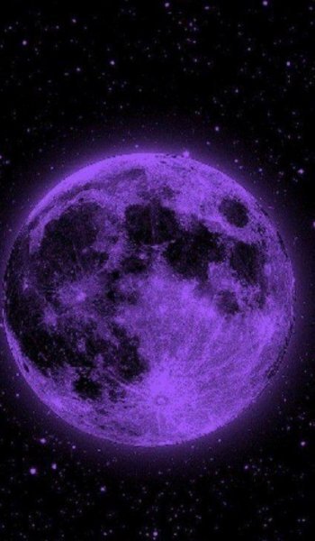  عکس پروفایل دخترانه بنفش