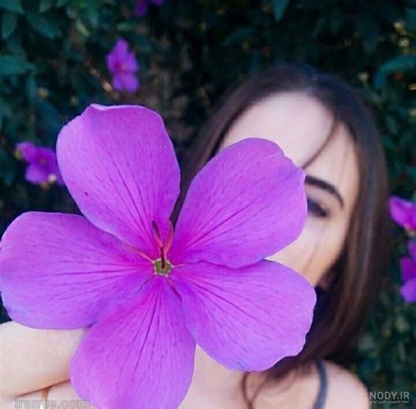 عکس پروفایل دخترانه بنفش