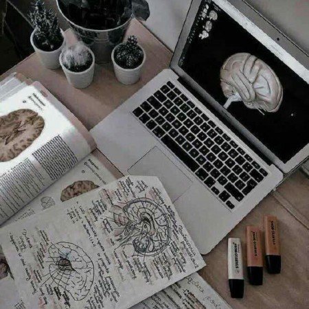  عکس پروفایل دخترانه درسی کیوت