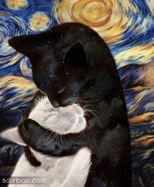  عکس پروفایل ترند جدید با کیفیت بالا